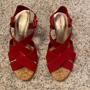 Antonio Melanie Red Shoes.  Size6 1/2. Worn one time.